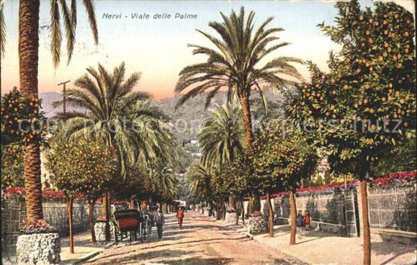 Nervi Viale delle Palme