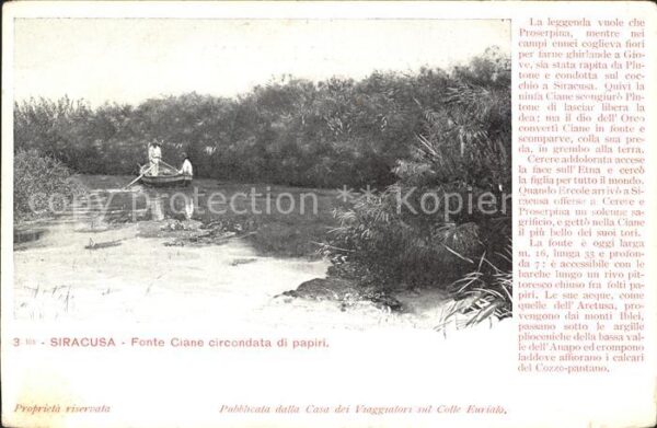 Siracusa Fonte Ciane circondata di papiri