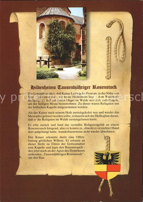 Hildesheim Tausendjähriger Rosenstock Legende