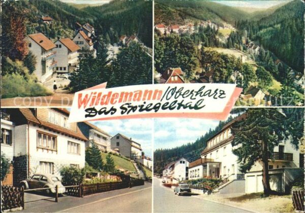 Wildemann Spiegeltal