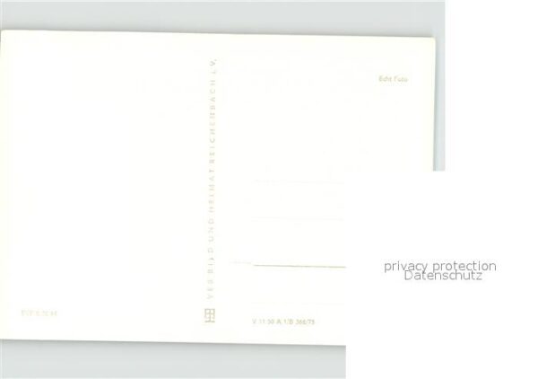 Vitt – Bild 2