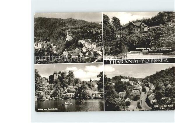 Tharandt Ferienheim Franz Mehring Ruine