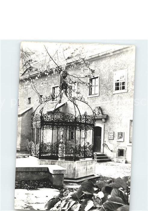 Zittau Grüner Born