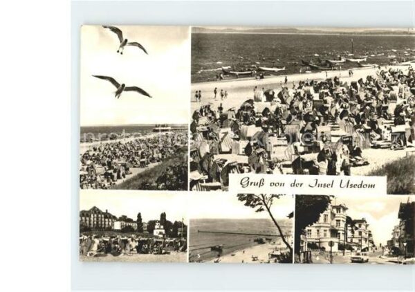 Usedom Möwenflug Strandpartie Ahlbeck Bansin K