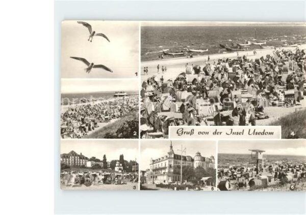 Usedom Möwenflug Seebad Ahlbeck Heringsdorf St