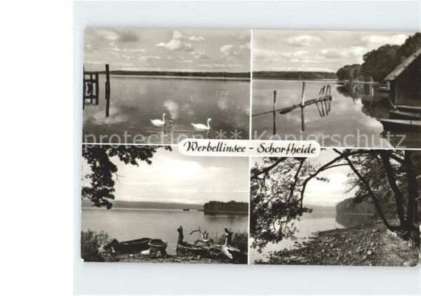 Schorfheide Werbellinsee Schwäne Boote