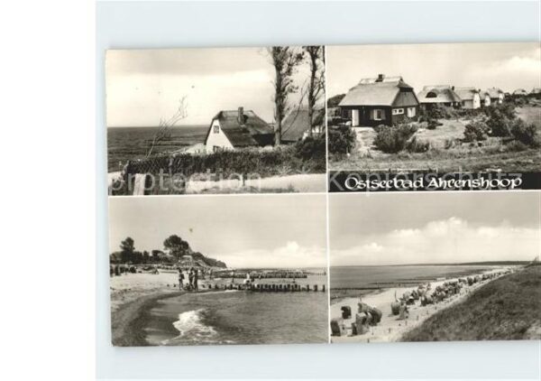Ahrenshoop Ostseebad Strandleben Häuser