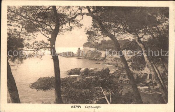 Nervi Capolungo
