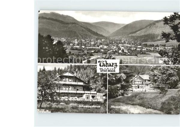 Tabarz Schweizerhaus Massemühle