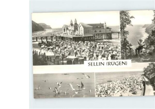 Sellin Ruegen Seebrücke Badestrand Möwe