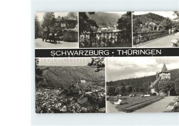 Schwarzburg Thueringer Wald Pferdekutsche Schweizer Haus
