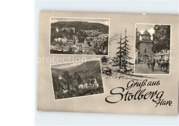 Stolberg Harz Tor Kühe Teilansichten