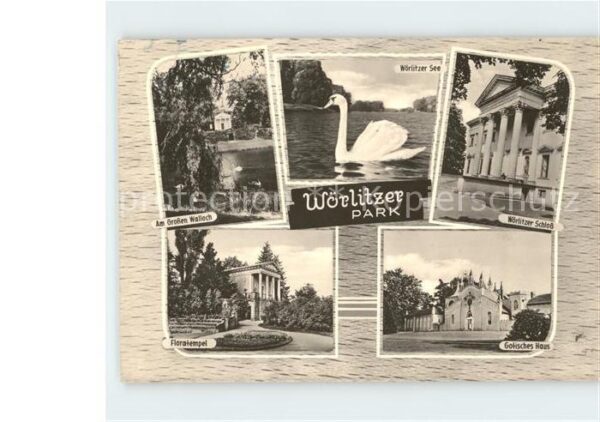 Woerlitz Park See Schwan Schloss Haus Floratempe