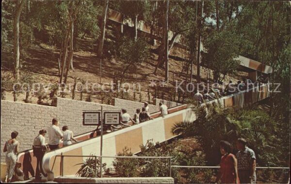 San Diego California Zoo Stairway