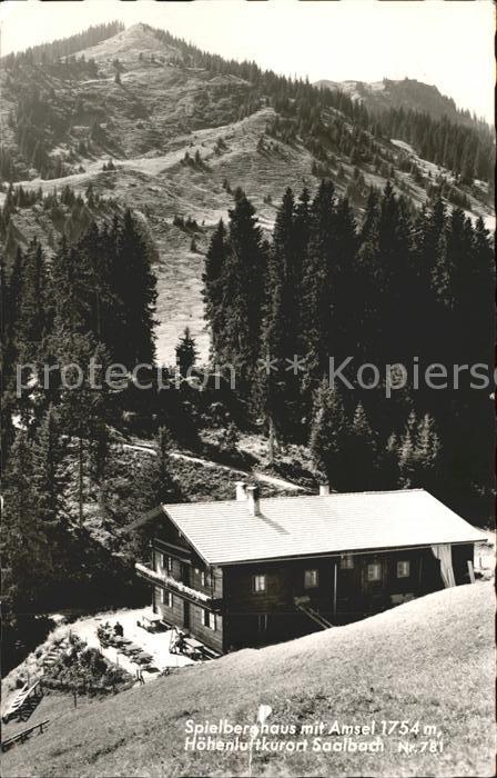 Saalbach-Hinterglemm Spielberghaus mit Amsel