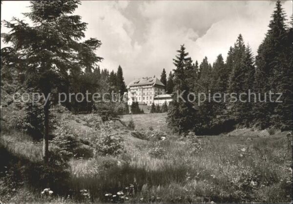 Notschrei Waldhotel