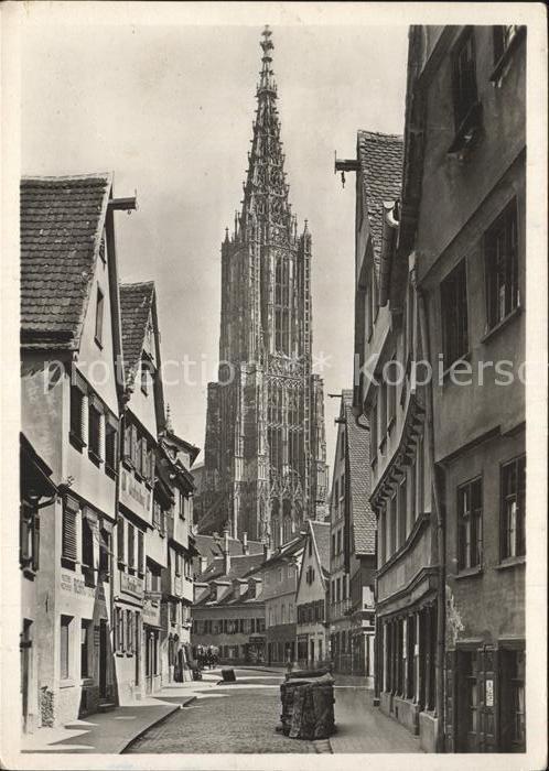 Ulm Donau Münster