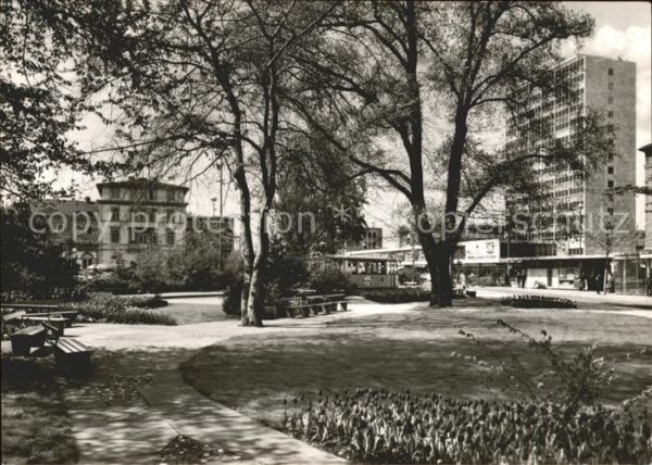 Heidelberg Neckar Seegarten