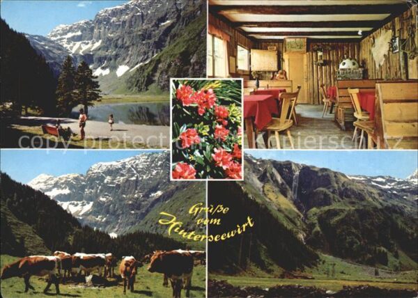 Mittersill Oberpinzgau Jausenstation Gamsblick Hintersee Felbe