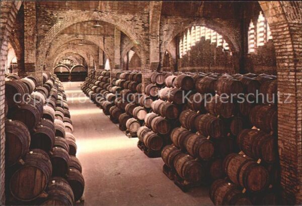 Wein Weinkeller Cavas Codorniu Bodega Monume