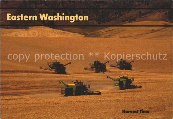 Ernte Landwirtschaft Harvest time Eastern Washington