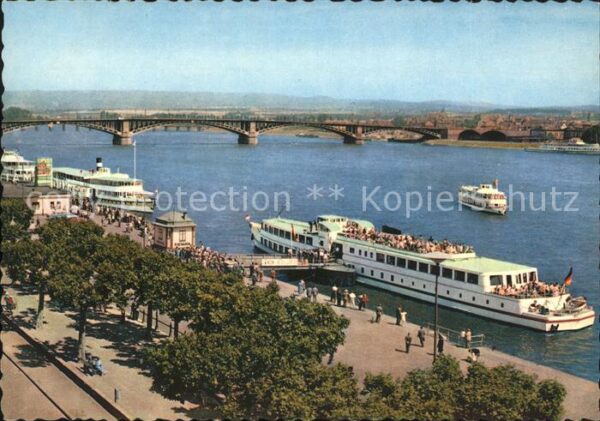 Motorschiffe Mainz Rheinbrücke