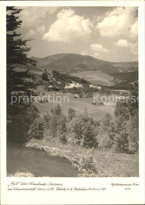 Foto Gutermann Nr. 314 Hof Wembach-Schönau Schwarzwald