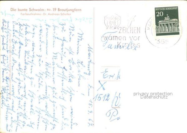 Trachten Hessen Schwalm Brautjungfern – Bild 2