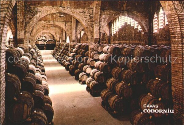 Wein Weinkeller Cavas Codorniu National-Denk