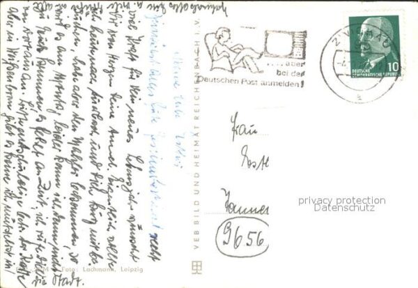 Baeren – Bild 2