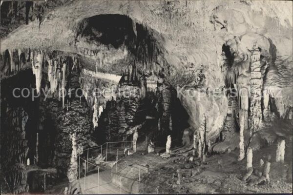 Hoehlen Caves Grottes Postojnska Jama Neue Grotte