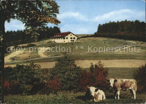 Waldmichelbach Sonnen Cafe Kreidacher Höhe