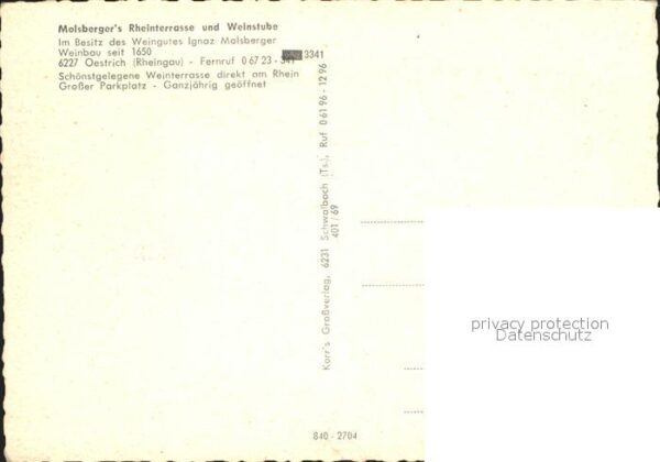 Oestrich-Winkel Rheinterrasse Molsberger – Bild 2