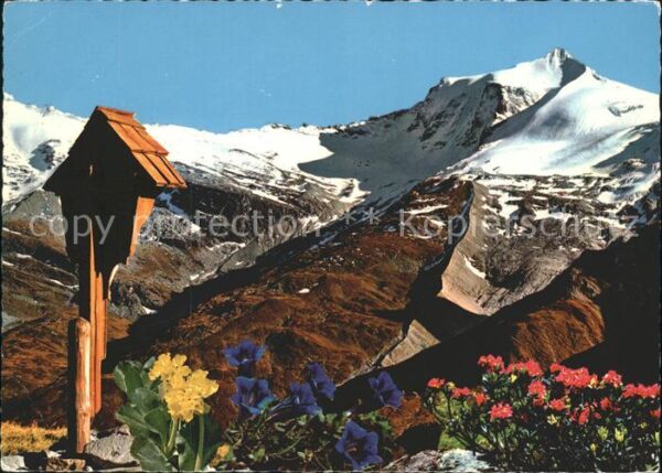 Hintertux Zillertal Gefrorene Wand Blume