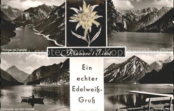 Plansee Thaneller Kahnpartie Edelweissblume
