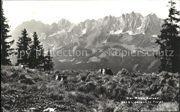 St Johann Tirol Wilde Kaiser