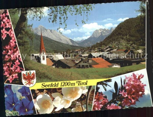 Seefeld Tirol Wetterstein Karwendelgebirge Blumen
