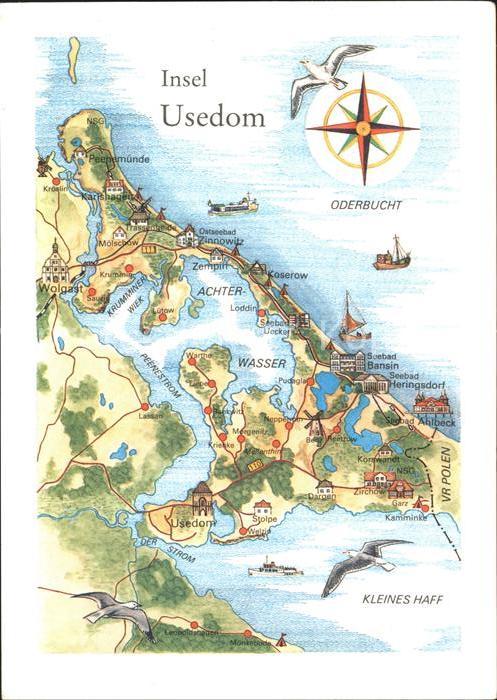 Usedom Oderbucht Möwe Kleines Haff Achterwasse