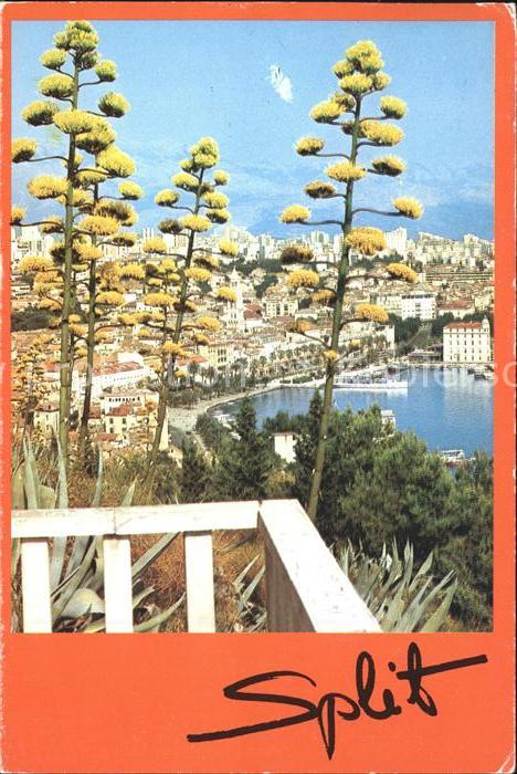 Split Spalato