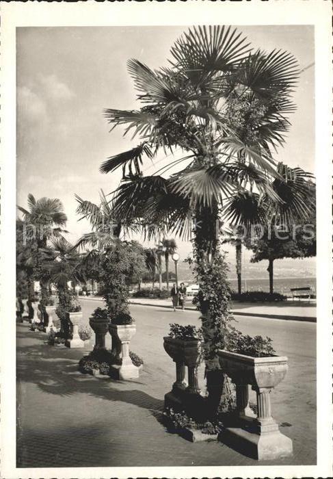 Opatija Abbazia Promenade