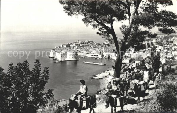 Dubrovnik Ragusa Eseltrecking