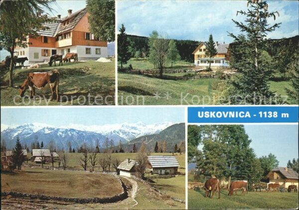 Uskovnica