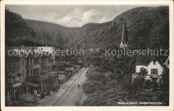 Thale Harz Hubertusstrasse