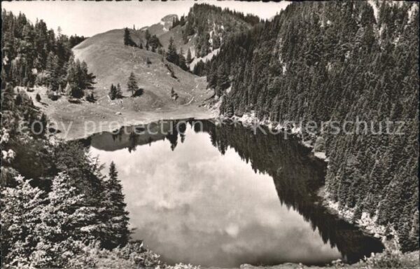 Reit Winkl Taubensee