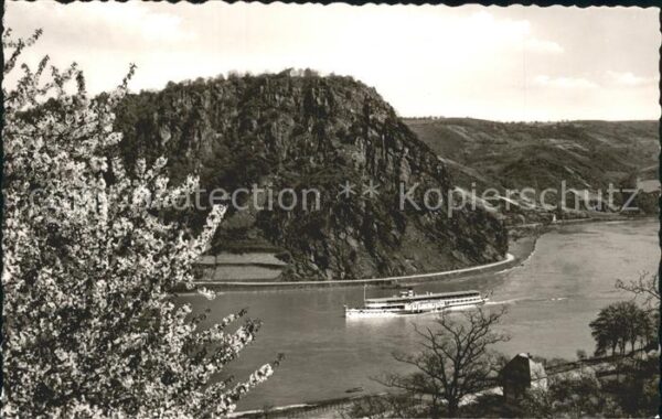 Loreley Lorelei Rhein Dampfer