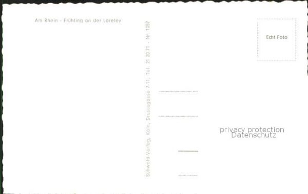 Loreley Lorelei Rhein Dampfer – Bild 2
