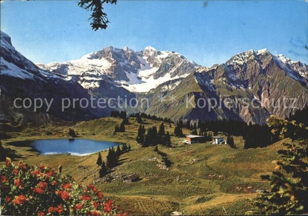 Koerbersee Braunarlspitze Bregenzerwald
