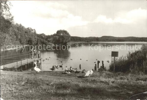 Loddin Kölpinsee