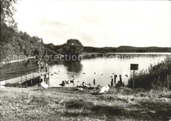 Loddin Kölpinsee