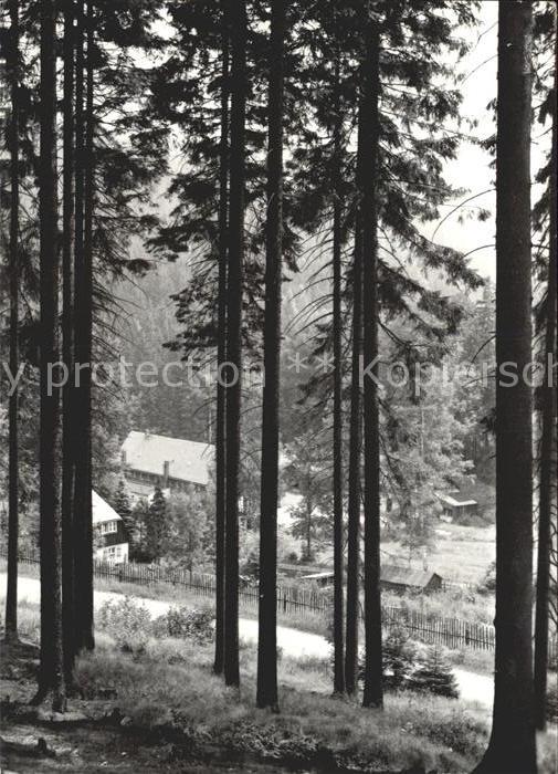 Schmiedeberg  Dippoldiswalde Ferienheim